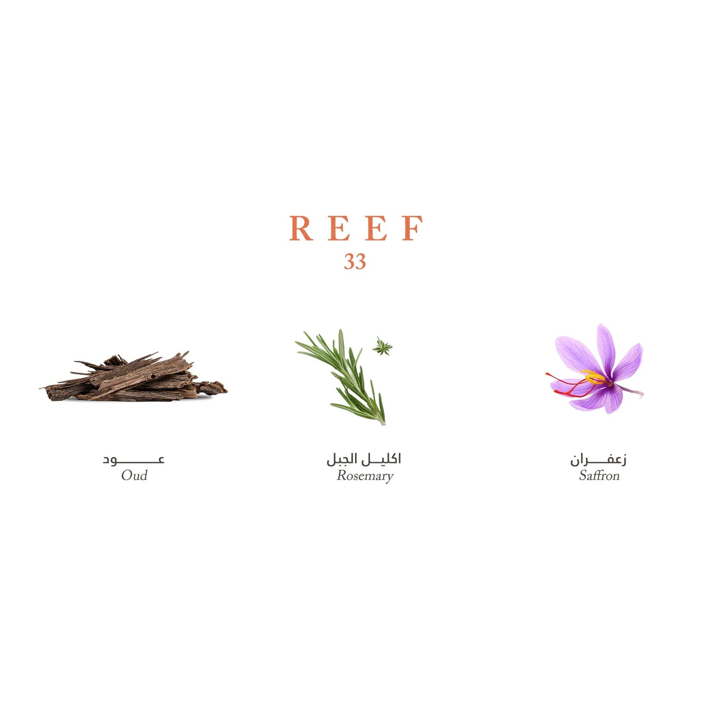 Reef 33 Unisex Oriental Woody EDP 3.4 fl oz Long-Lasting Saffron Oud Perfume
